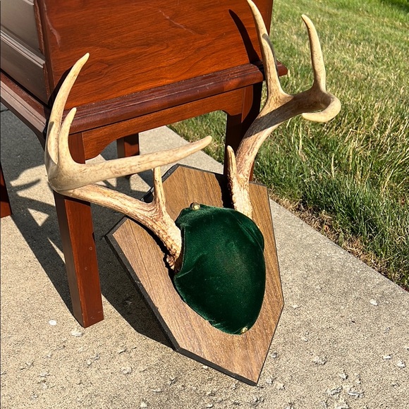 Vintage 8 Point Whitetail Deer Buck Antlers Green Velvet Wall Mount Plaque - Picture 11 of 12